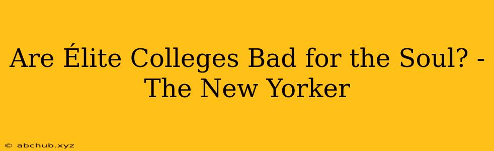 Are Élite Colleges Bad for the Soul? - The New Yorker