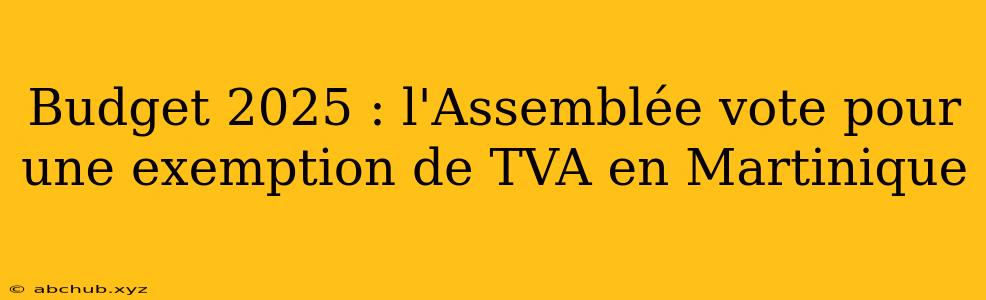 Budget 2025 : l'Assemblée vote pour une exemption de TVA en Martinique 