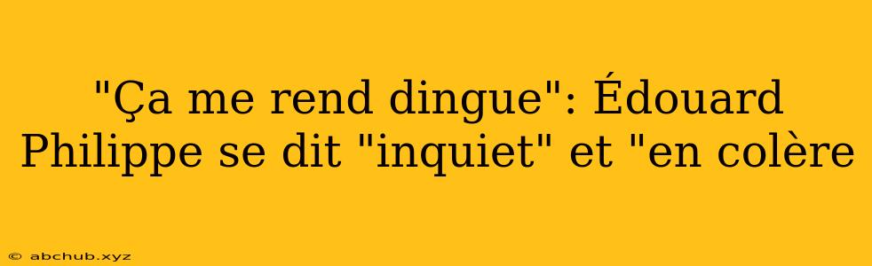 "Ça me rend dingue": Édouard Philippe se dit "inquiet" et "en colère 