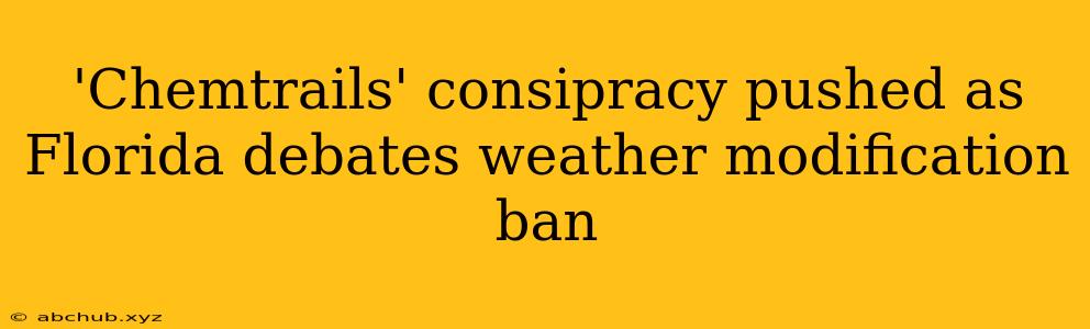 'Chemtrails' consipracy pushed as Florida debates weather modification ban