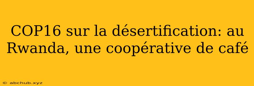 COP16 sur la désertification: au Rwanda, une coopérative de café 