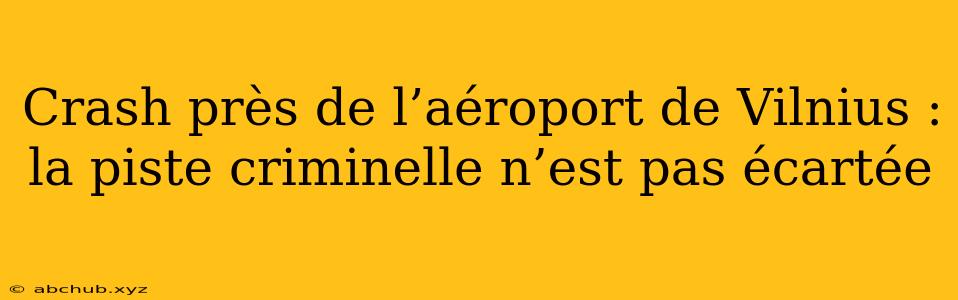 Crash près de l’aéroport de Vilnius : la piste criminelle n’est pas écartée