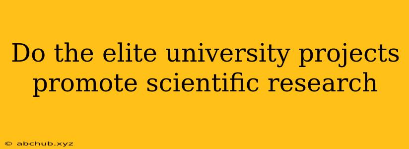 Do the elite university projects promote scientific research 