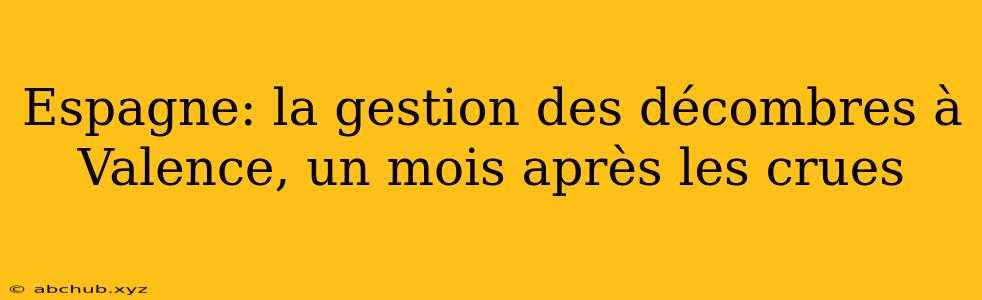 Espagne: la gestion des décombres à Valence, un mois après les crues 