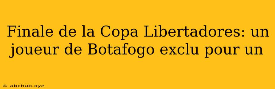 Finale de la Copa Libertadores: un joueur de Botafogo exclu pour un 