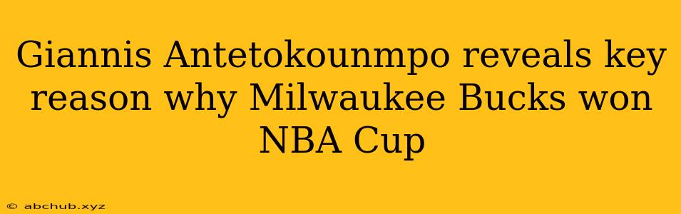 Giannis Antetokounmpo reveals key reason why Milwaukee Bucks won NBA Cup