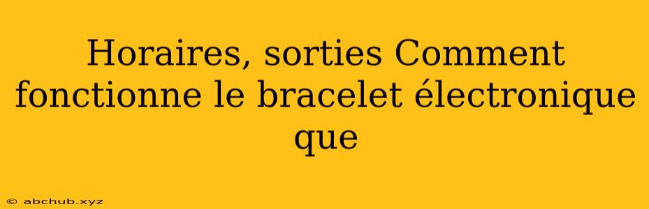 Horaires, sorties Comment fonctionne le bracelet électronique que 