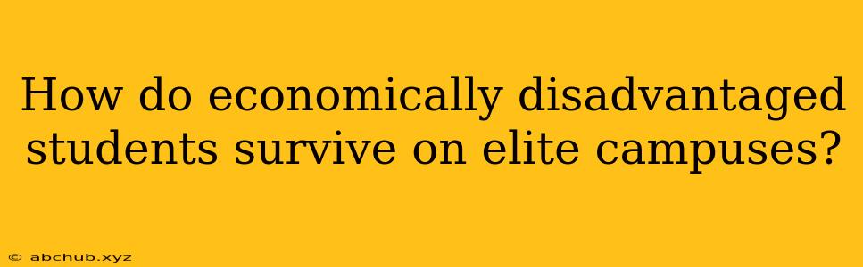 How do economically disadvantaged students survive on elite campuses?