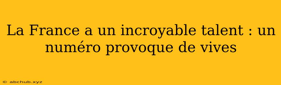 La France a un incroyable talent : un numéro provoque de vives 
