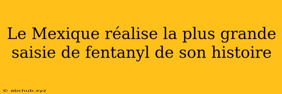 Le Mexique réalise la plus grande saisie de fentanyl de son histoire