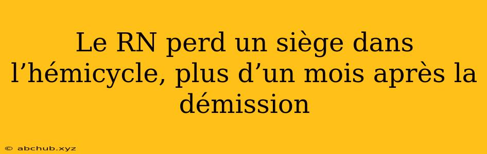 Le RN perd un siège dans l’hémicycle, plus d’un mois après la démission 