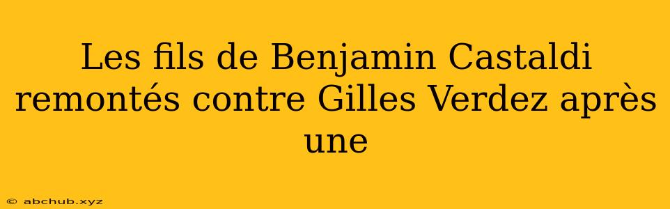 Les fils de Benjamin Castaldi remontés contre Gilles Verdez après une 