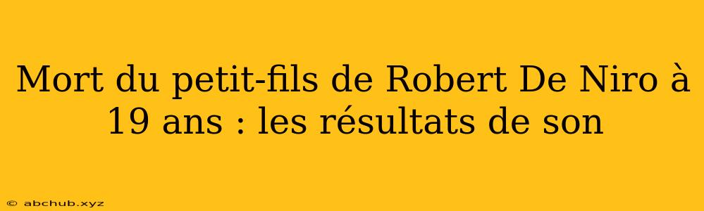 Mort du petit-fils de Robert De Niro à 19 ans : les résultats de son 