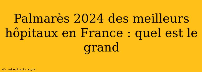 Palmarès 2024 des meilleurs hôpitaux en France : quel est le grand 