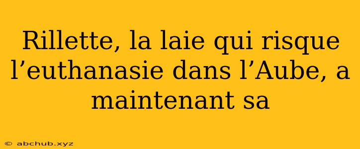 Rillette, la laie qui risque l’euthanasie dans l’Aube, a maintenant sa 