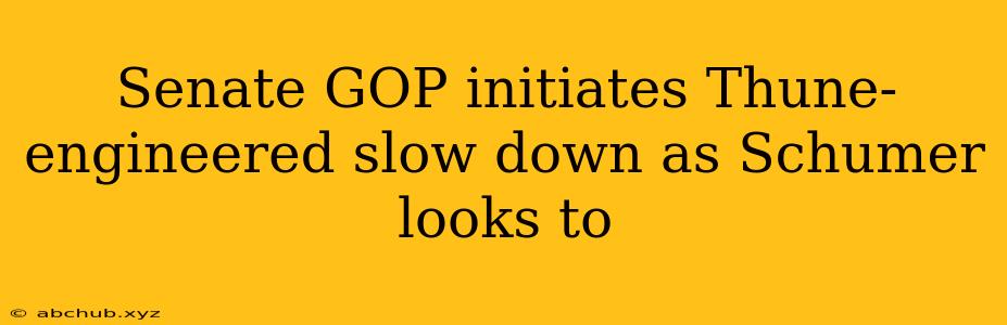 Senate GOP initiates Thune-engineered slow down as Schumer looks to 