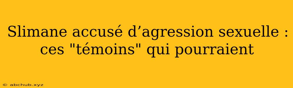 Slimane accusé d’agression sexuelle : ces "témoins" qui pourraient 