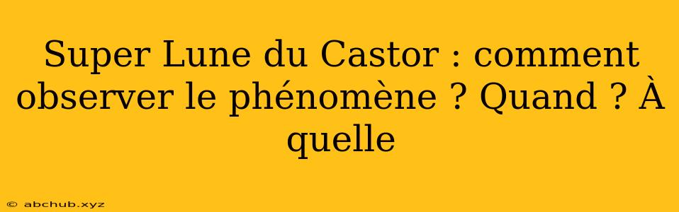 Super Lune du Castor : comment observer le phénomène ? Quand ? À quelle 