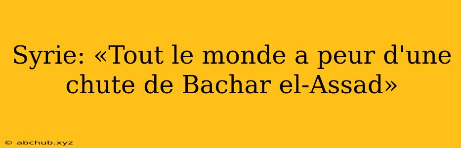 Syrie: «Tout le monde a peur d'une chute de Bachar el-Assad»
