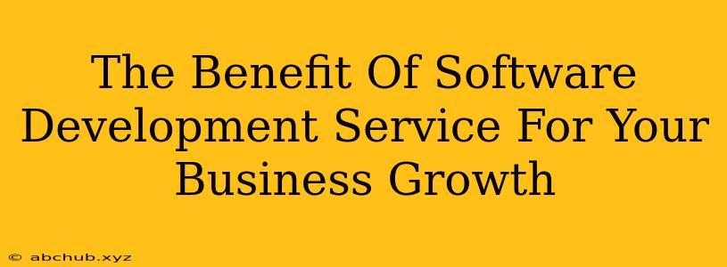 The Benefit Of Software Development Service For Your Business Growth 