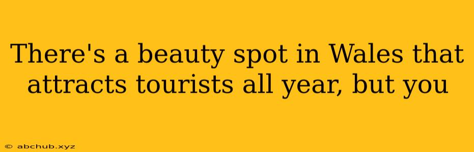 There's a beauty spot in Wales that attracts tourists all year, but you 