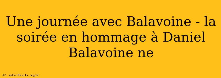 Une journée avec Balavoine - la soirée en hommage à Daniel Balavoine ne 