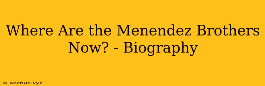 Where Are the Menendez Brothers Now? - Biography