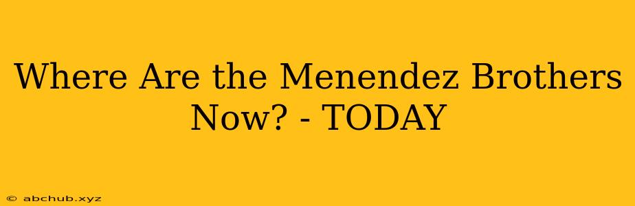 Where Are the Menendez Brothers Now? - TODAY