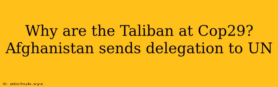 Why are the Taliban at Cop29? Afghanistan sends delegation to UN 